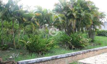 Imagem 2: Chácara - Contendas - Valinhos