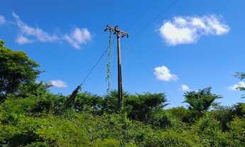 Imagem 2: Vendo terreno na estrada da produção