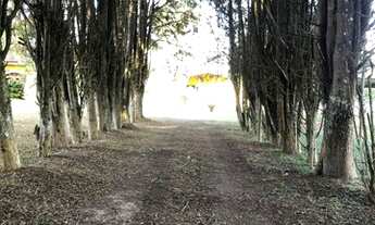 Imagem 4: Invista com lotes imperdíveis em Ibiúna - SP