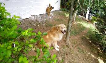 Imagem 6: São Lourenço da Serra - Chácara - Triângulo Azul