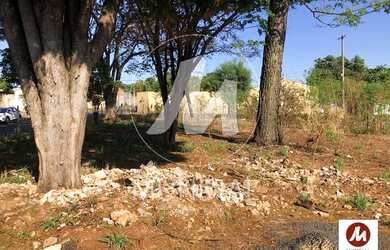 Imagem 6: Terreno (terreno normal