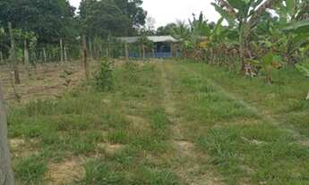 Imagem 2: Venda de sitio Chácara com venda por R$70.000