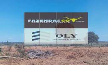 Imagem 2: Fazenda Extra - 206 alqueires - Pontal do Araguaia - MT ! Dupla aptidão !
