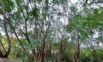 Imagem 3: Terreno - Jardim Paraíso - Campinas