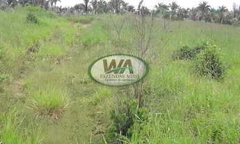 Imagem 3: Fazenda com grande potencial de apascentamento de gado