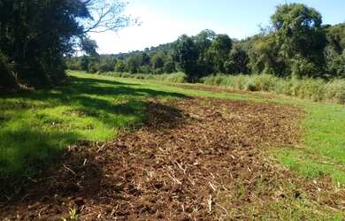 Imagem 7: Chácara a venda na cidade de Londrina PR