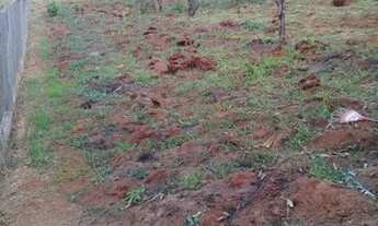 Imagem 5: RIO MANSO - Terreno Padrão - Sitio Floresta