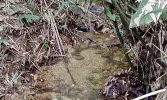 Imagem 4: Chácara registrada 2 rios e muita área plana - 13,5 Alq