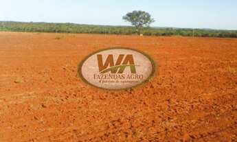 Imagem: Fazenda plantando soja há 7 anos no Tocantins