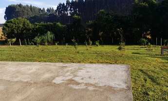 Imagem 5: Chácara próximo ao pedagio de mandirituba