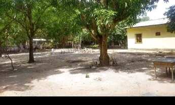 Imagem: Alugo chácara com casa com 3 quartos !