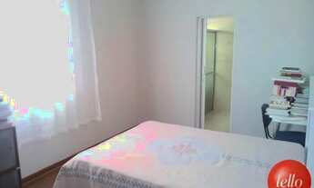 Imagem 3: São Paulo - Casa Padrão - Tucuruvi