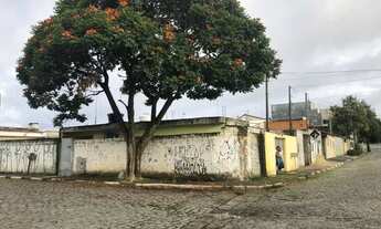 Imagem 3: Vendo Casa com 3 dormitórios