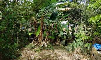 Imagem 6: Bairro monte das oliveiras casa com 2 quartos em Nova Cidade - Manaus - AM