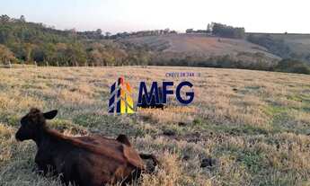 Imagem 7: Sitio em Itapetininga 5 alqueires