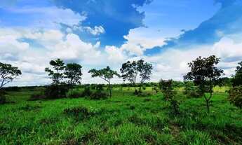 Imagem 6: Fazendinhas 20.000m2 Muita Água e Terra p Plantio 25.920 + Parcelas