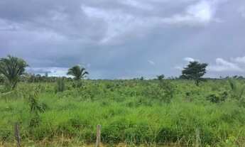 Imagem 2: Vende-se Fazenda São Pedro, 1107 ha - Documentação Atualizada