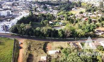Imagem 6: Terreno em rua - Bairro Colônia Dona Luíza em Ponta Grossa