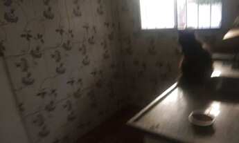 Imagem 3: Casa pra alugar Casa com 2 dormitórios