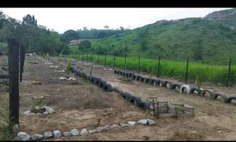 Imagem: Ágio de Lote