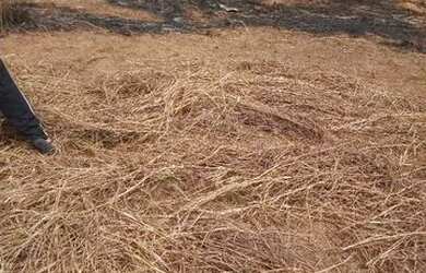 Imagem 2: Vende se um terreno no João de barro