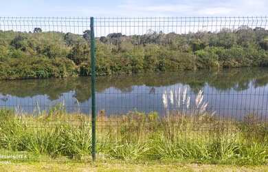 Imagem 4: Alugo apartamento 750,00 - Campo Largo