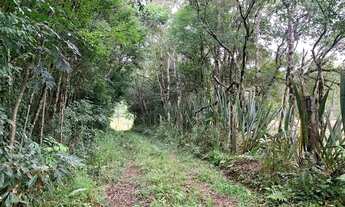 Imagem 2: Chacara 5mil metros quadrados - Próximo a Volkswagen