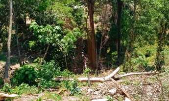 Imagem 6: Vendo Casa com 2 dormitórios