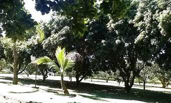 Imagem 5: Chácara no asfalto em Itatiba. 12000 m2 com benfeitorias