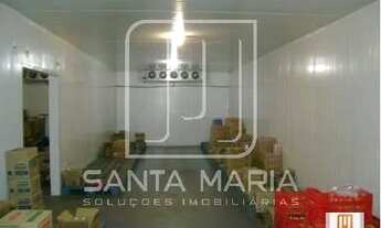 Imagem 5: Salão/Galpão (salão - térreo