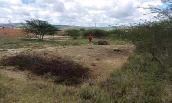 Imagem 2: Terreno bairro beija flor