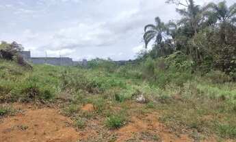 Imagem 4: Terreno Para Chácara