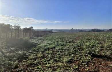 Imagem 3: Lote / Terreno para venda em Chácara Cruzeiro Do Sul de 20132.85m² com 10 Garagens