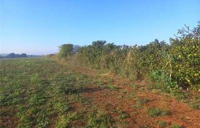 Imagem 2: Lote / Terreno para venda em Chácara Cruzeiro Do Sul de 20132.85m² com 10 Garagens