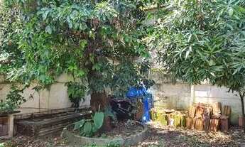 Imagem 7: Casa Imperdível em Santa Teresa