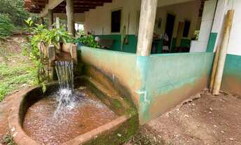 Imagem 6: Vende-se chácara de 16 mil metros em Trindade-GO