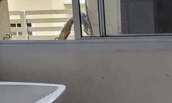 Imagem 4: Apartamento mobiliado para aluguel com 78 metros quadrados com 3 quartos em Ininga - Teres