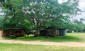 Imagem 4: Sítio à venda, 3 quartos, 10 vagas, Águas Claras VI (Águas Claras) - Viamão/RS