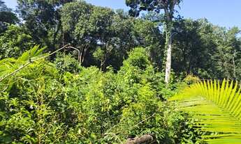 Imagem 5: BAIXEI BLACK Lotes no Balneário, ponta fruta, troco por equipamentos padaria