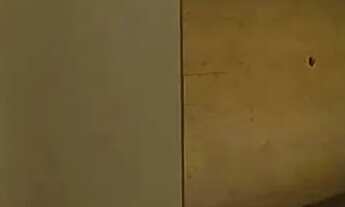 Imagem 5: Locação 3qtos na Gleba Palhano