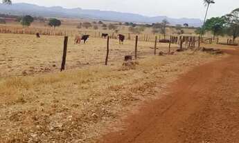 Imagem 3: Fazenda a venda, em Barro Alto / Goiàs