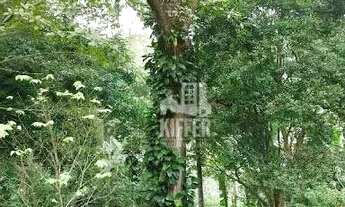 Imagem 7: Chácara à venda, 31972 m² por R$ 980.000,00 - Piratininga - Niterói/RJ