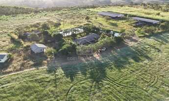 Imagem 5: ALEXANIA -GO FAZENDA COMPLETA 7,5 ALQUEIRES PARA VENDA