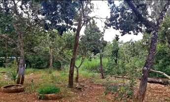 Imagem 2: Vendo ótima chácara no núcleo rural vale verde em Planaltina-DF