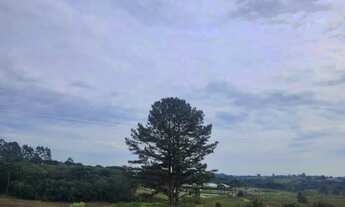 Imagem 2: Piraquara - Area de 20.000m2