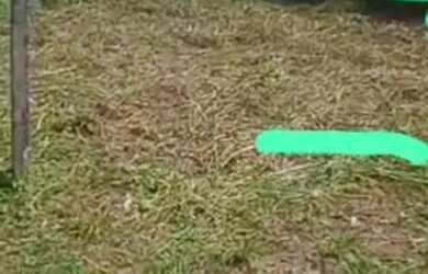 Imagem 3: Vende-se terreno localizado no município de iranduba