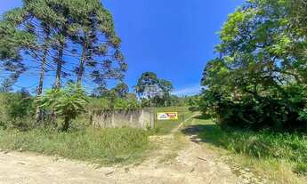 Imagem: Vendas Chácara Mandirituba PR