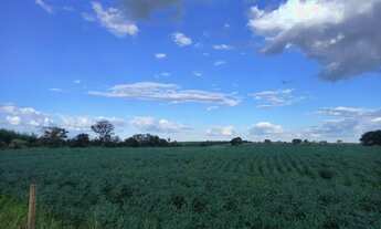 Imagem 3: Sítio na região de Prata Minas Gerais