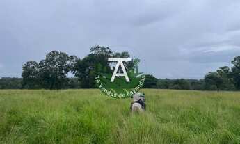 Imagem 4: 55 alq em Crixas GO