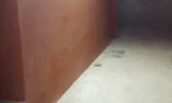 Imagem 4: Vendo Casa com 5 dormitórios